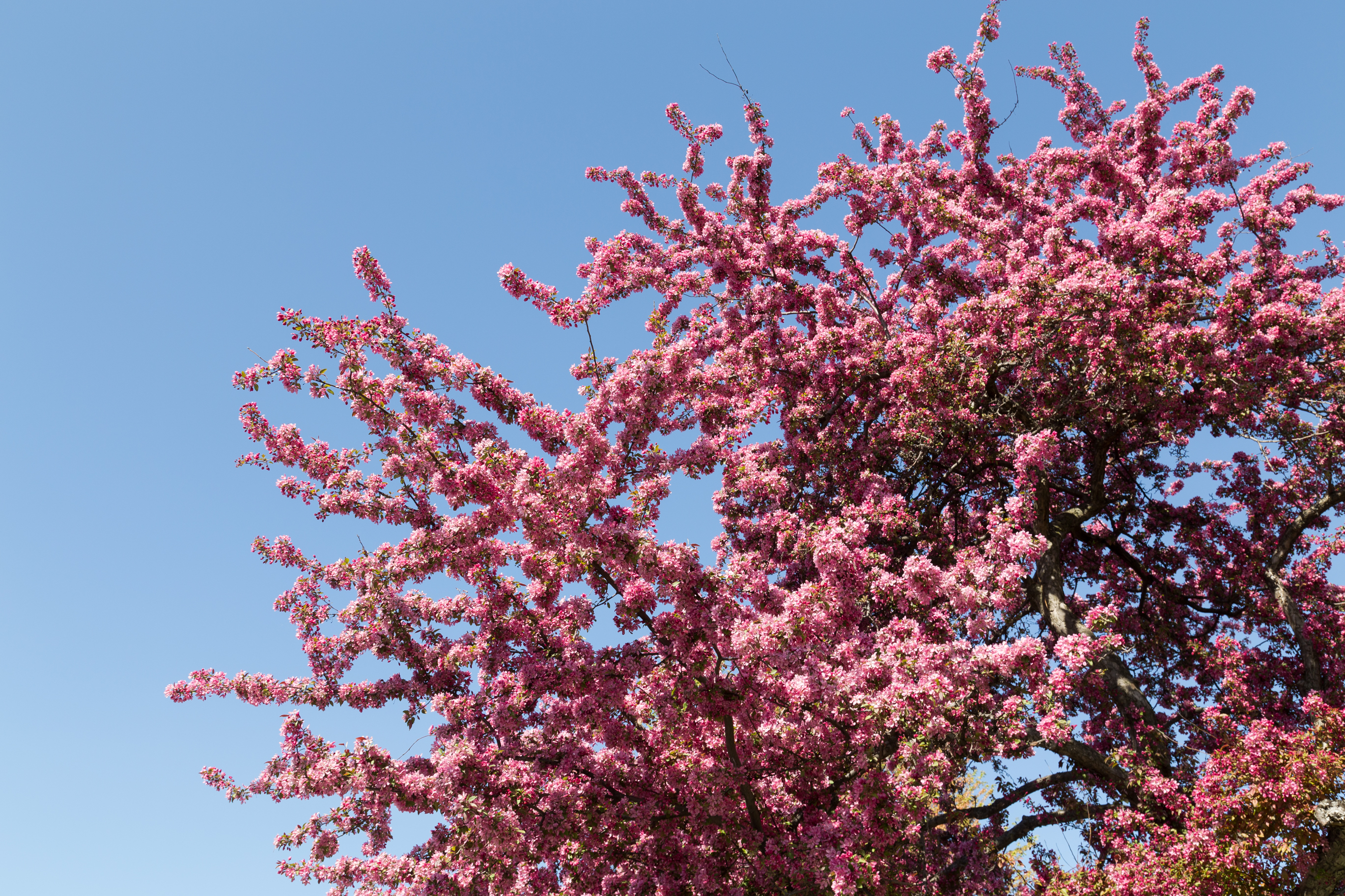 Um legado para o amanhã.